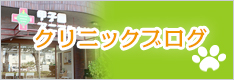 クリニックブログ
